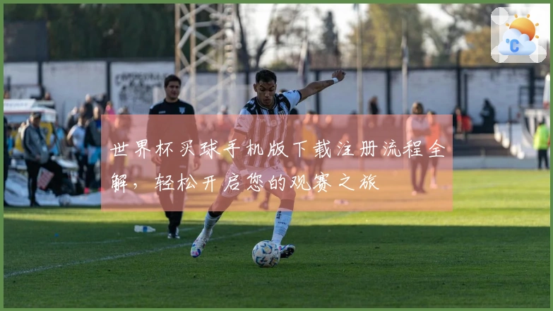 世界杯买球手机版下载注册流程全解，轻松开启您的观赛之旅