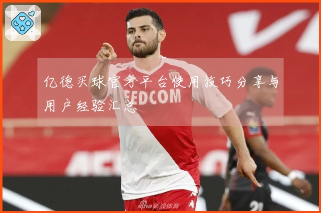 亿德买球官方平台使用技巧分享与用户经验汇总