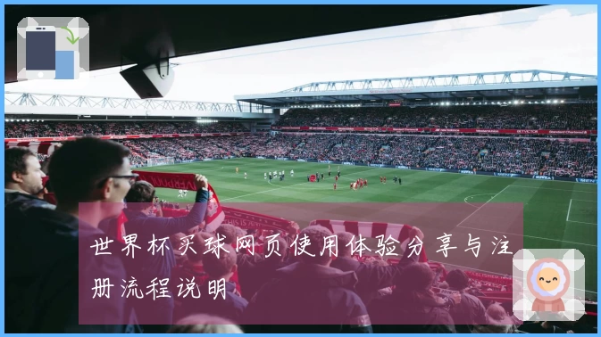 世界杯买球网页使用体验分享与注册流程说明
