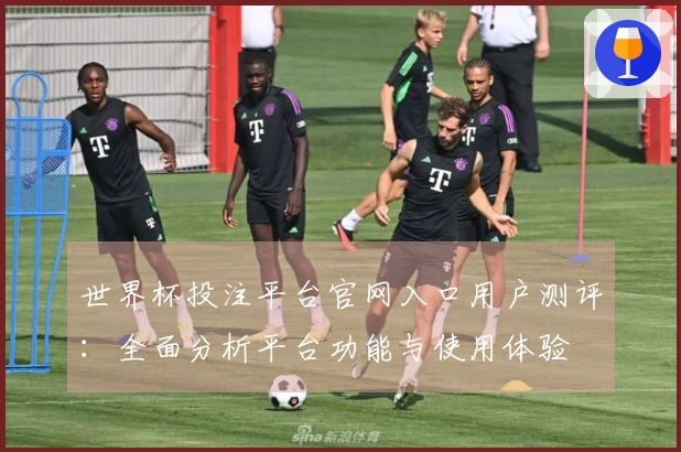 世界杯投注平台官网入口用户测评：全面分析平台功能与使用体验