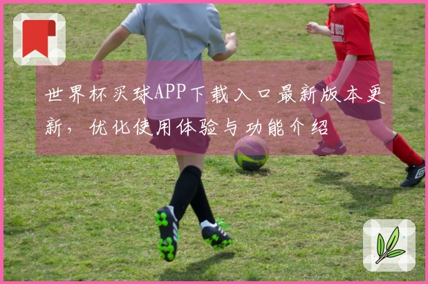 世界杯买球APP下载入口最新版本更新，优化使用体验与功能介绍