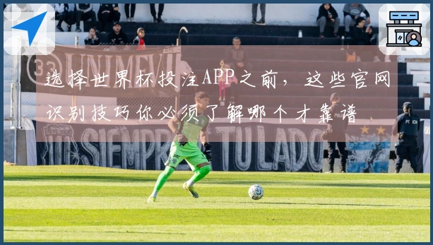选择世界杯投注APP之前，这些官网识别技巧你必须了解哪个才靠谱