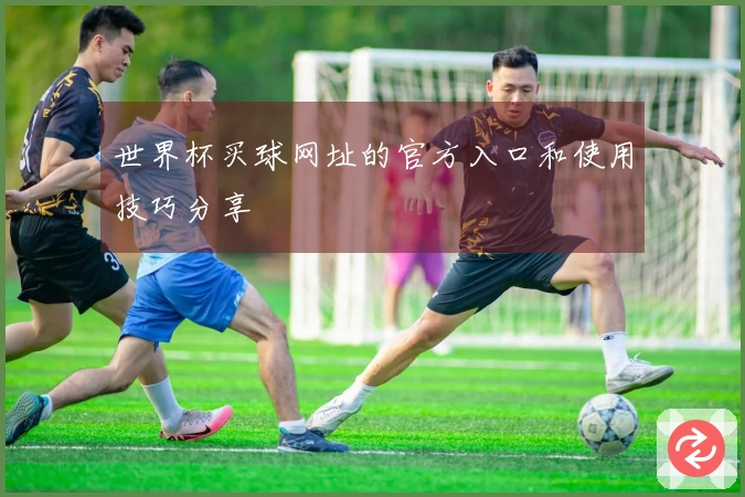 世界杯买球网址的官方入口和使用技巧分享