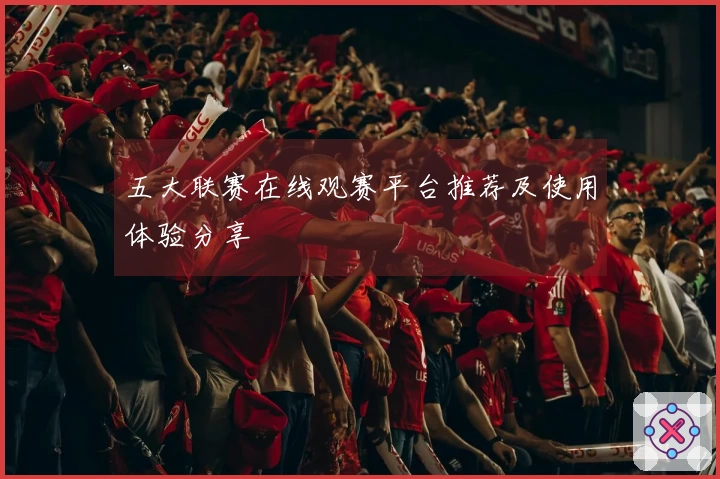 五大联赛在线观赛平台推荐及使用体验分享