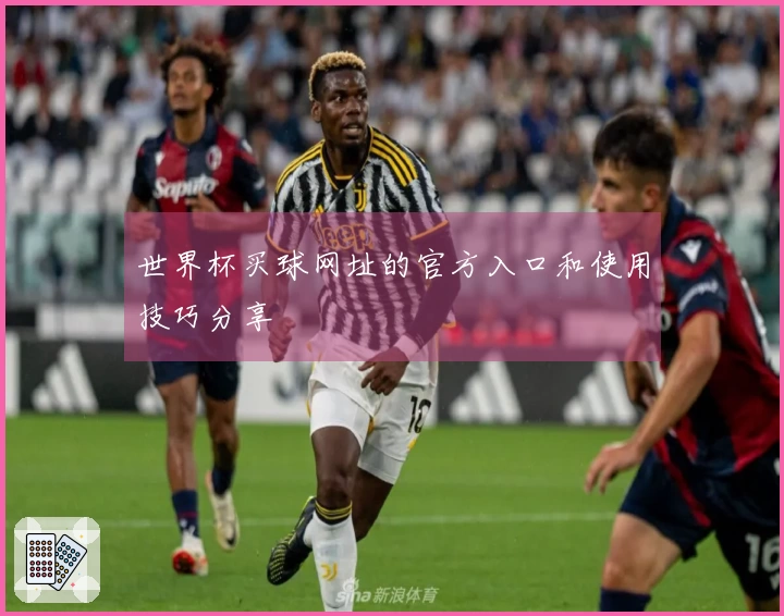 世界杯买球网址的官方入口和使用技巧分享