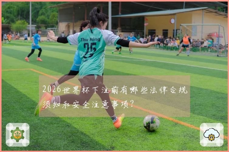 2026世界杯下注前有哪些法律合规须知和安全注意事项?