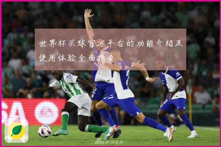 世界杯买球官方平台的功能介绍及使用体验全面指南