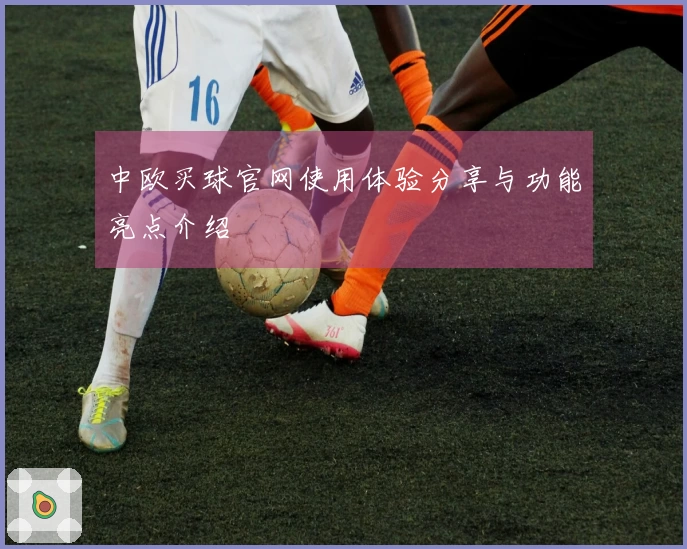中欧买球官网使用体验分享与功能亮点介绍