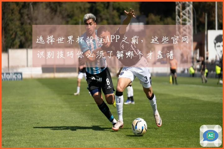 选择世界杯投注APP之前，这些官网识别技巧你必须了解哪个才靠谱