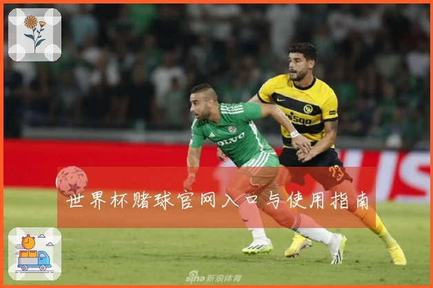 世界杯赌球官网入口与使用指南